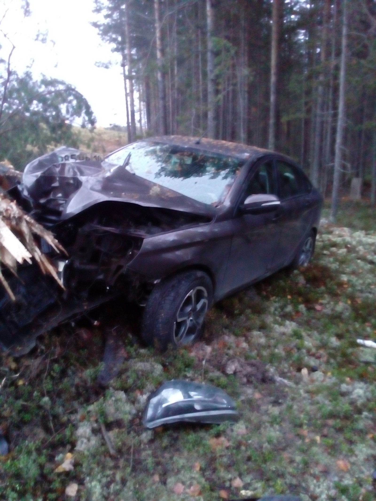 Lada Vesta killer of pines - My, , Car, Pine, Longpost, AvtoVAZ