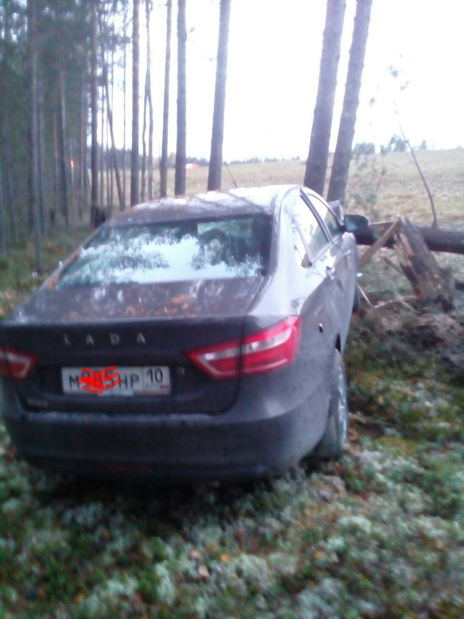 Lada Vesta killer of pines - My, , Car, Pine, Longpost, AvtoVAZ