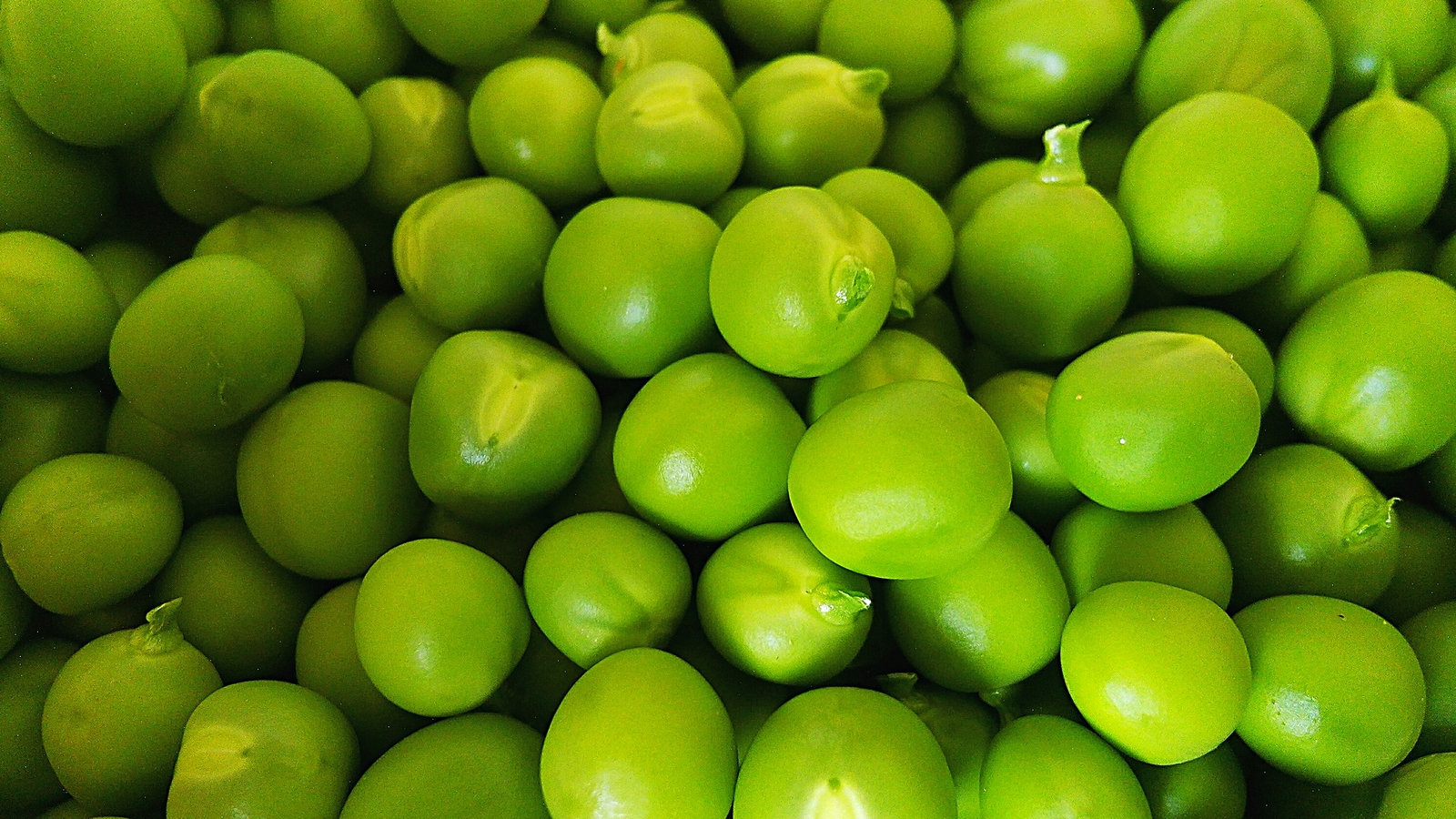 Polka dot background - My, Background, Peas, Food, Macro, Macro photography, Vegetables, The photo