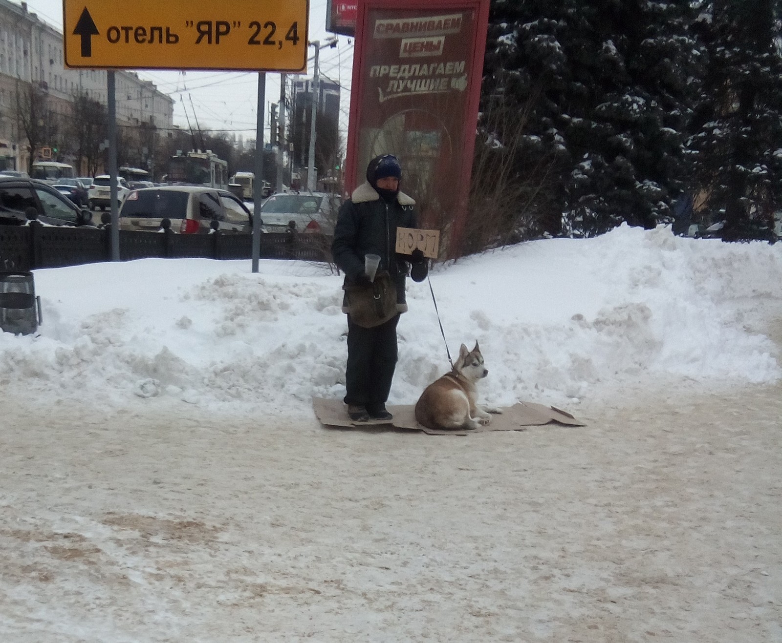 Beggar with a dog. Voronezh - Voronezh, Beggars, Dog, Lost, Laika, No rating