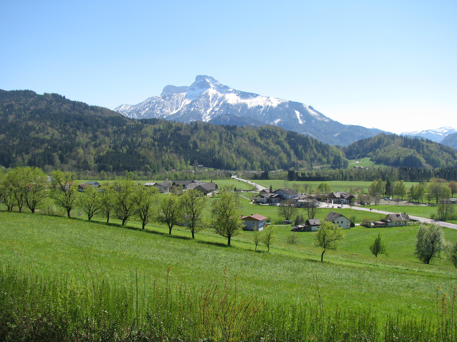 At a sanitary stop in Austria - My, Nature, Austria, Alps, The mountains