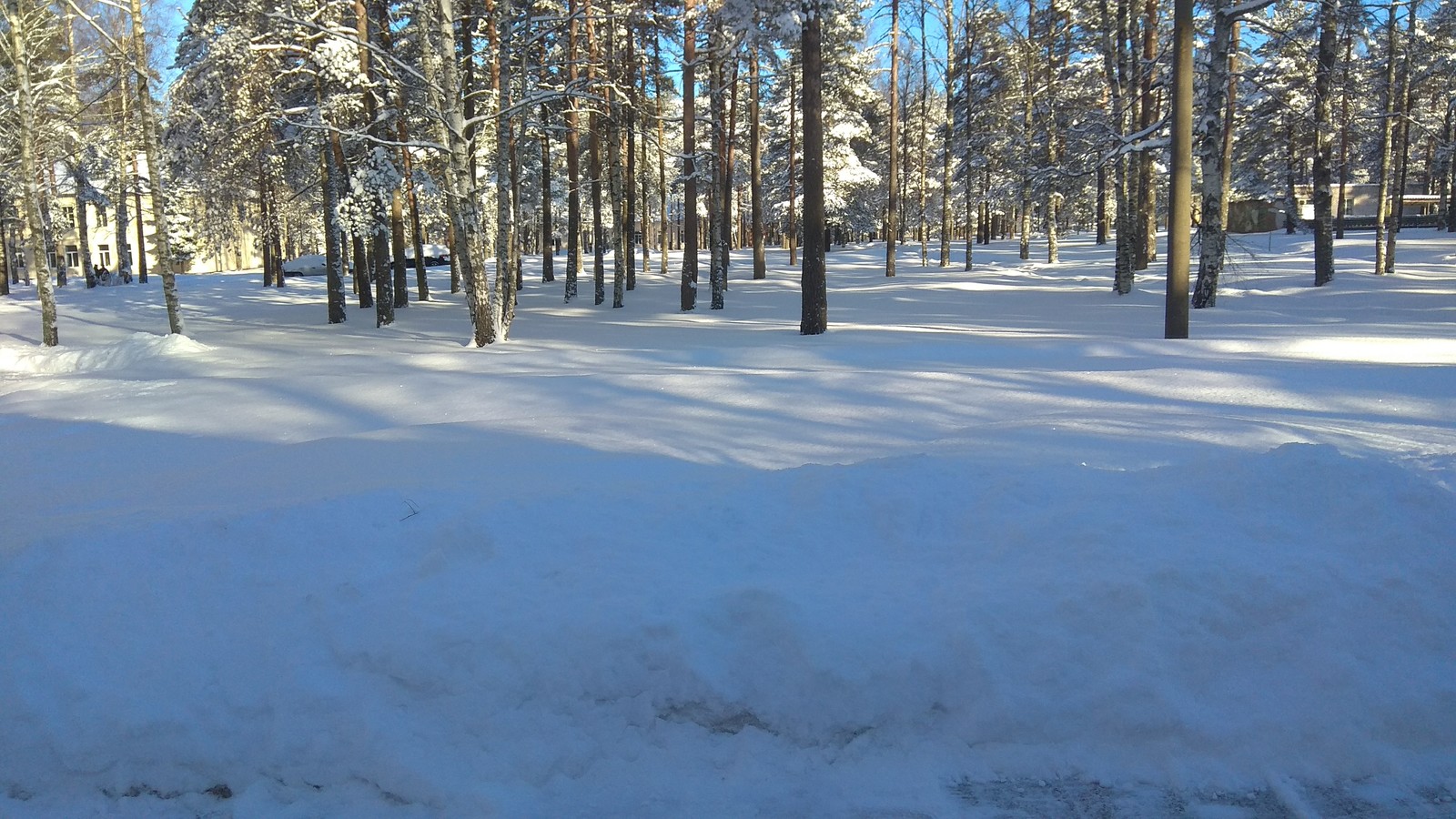 21 March. Leningrad region, Vyborgsky district - Spring, freezing, Snowdrift, Snow