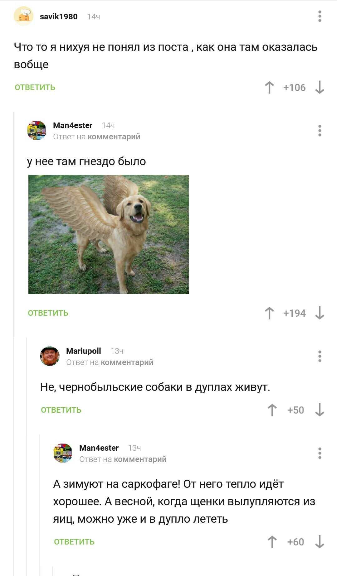 Briefly about dogs in Chernobyl - Chernobyl, Dog, Comments on Peekaboo, Screenshot, Humor