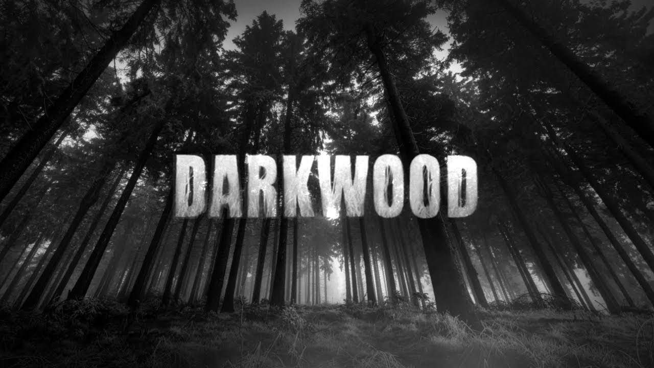 DarkWood Review (Рецензия на русском) - Моё, YouTube, Каналы youtube, Darkwood, Видеоигра, Рецензия, Игровые обзоры, Моё, Dark Wood