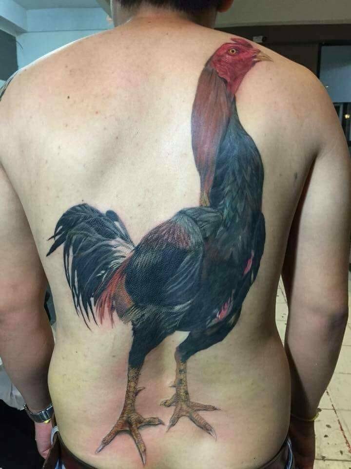 What for ? - Humor, Images, Tattoo