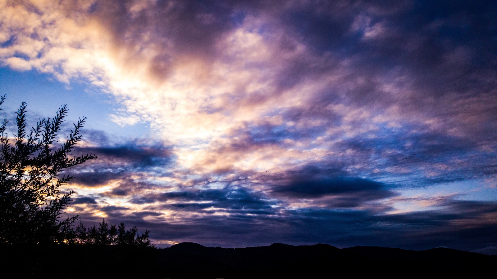 Last year's walks - My, Kamchatka, Petropavlovsk-Kamchatsky, Longpost, Nature, The photo