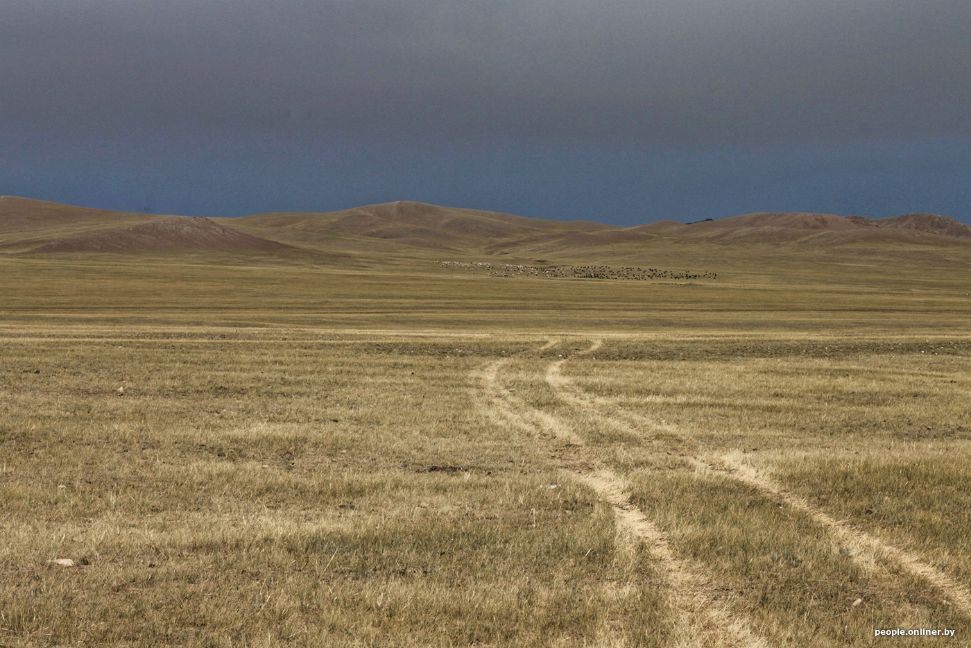 Around the world 17/18. Mongolia. Hell for vegetarians and hospitality with koumiss. Story #4 - , Trip around the world, Longpost, Onliner by