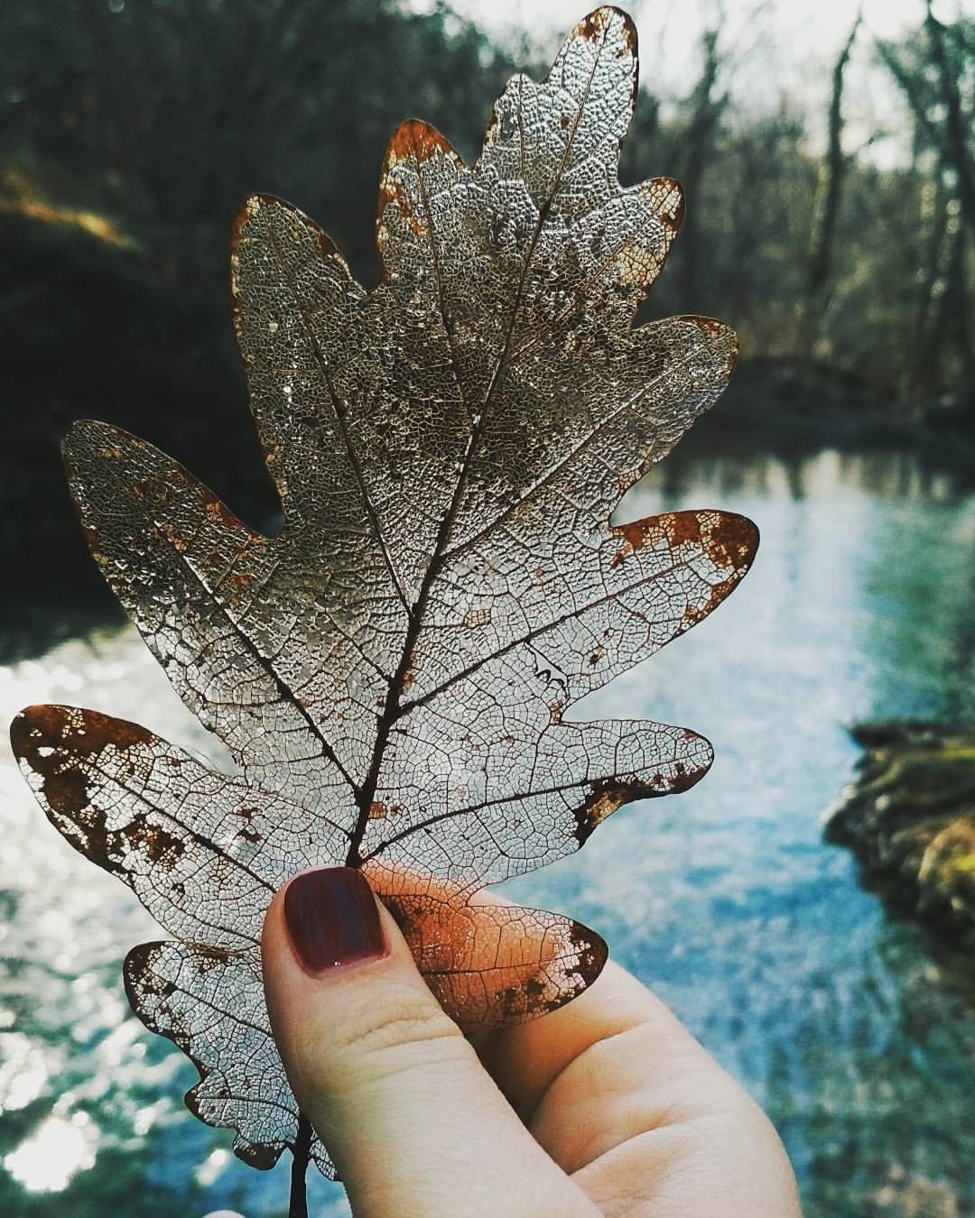 Nature is the creator. - My, Nature, The photo, Crimea, Forest, Art, beauty