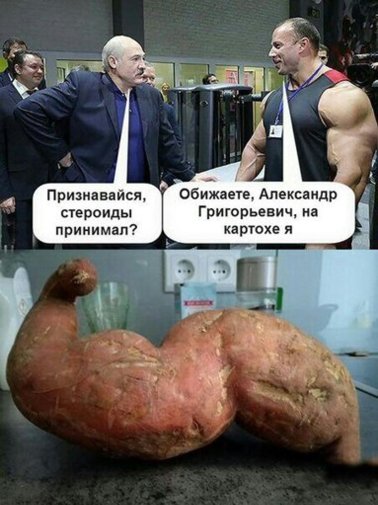 Only potatoes! - Alexander Lukashenko, Athletes, Potato, Steroids, Picture with text