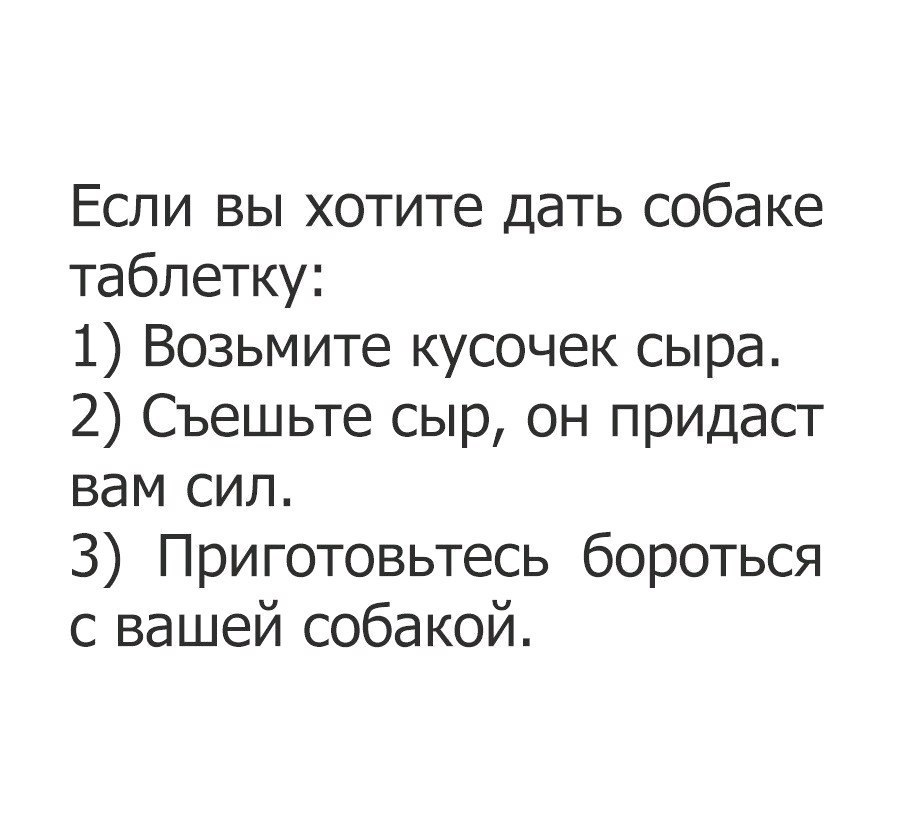 Когда лечишь свою собаку - Собака, Лечение, Инструкция, ВКонтакте, Картинка с текстом