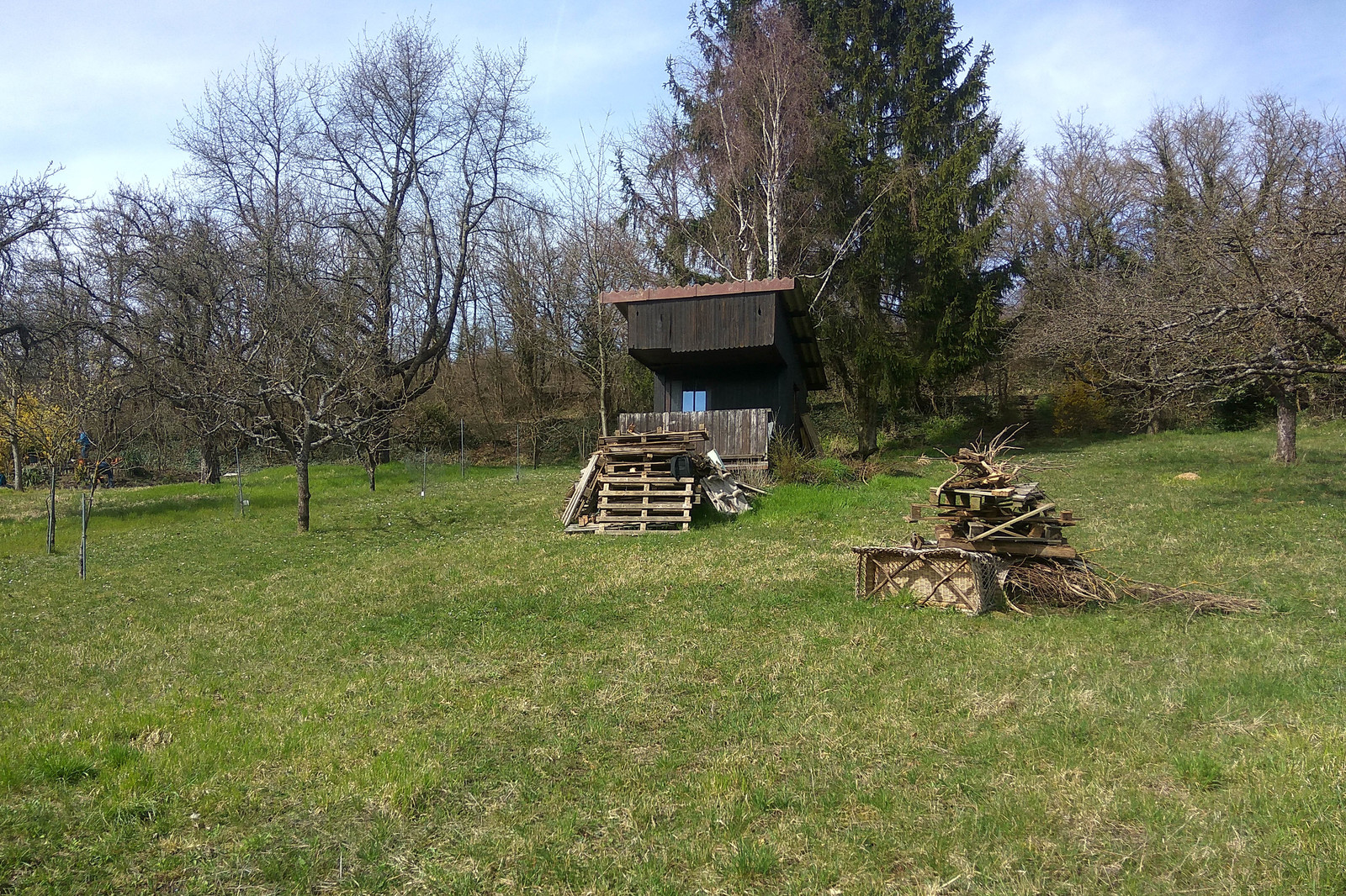 Trip to Michaelsberg mountain - My, Germany, Excursion, Dacha, A bike, Longpost