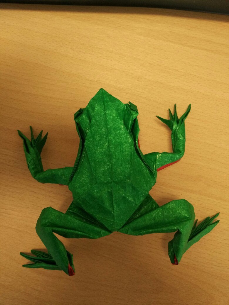 Origami Tree Frog (Satoshi Kamiya) - Моё, Оригами, Origamipro, Лягушки, Ручная работа, Satoshi Kamiya, Лига оригами, Длиннопост