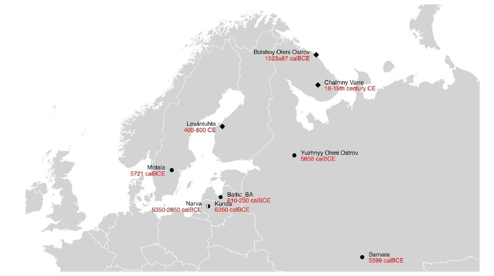 Siberian genes among the peoples of North-Eastern Europe. The Saami are pioneers. - Genetics, Population, Finns, Genes, Russians, Kola Peninsula, Sami, Siberia, Longpost