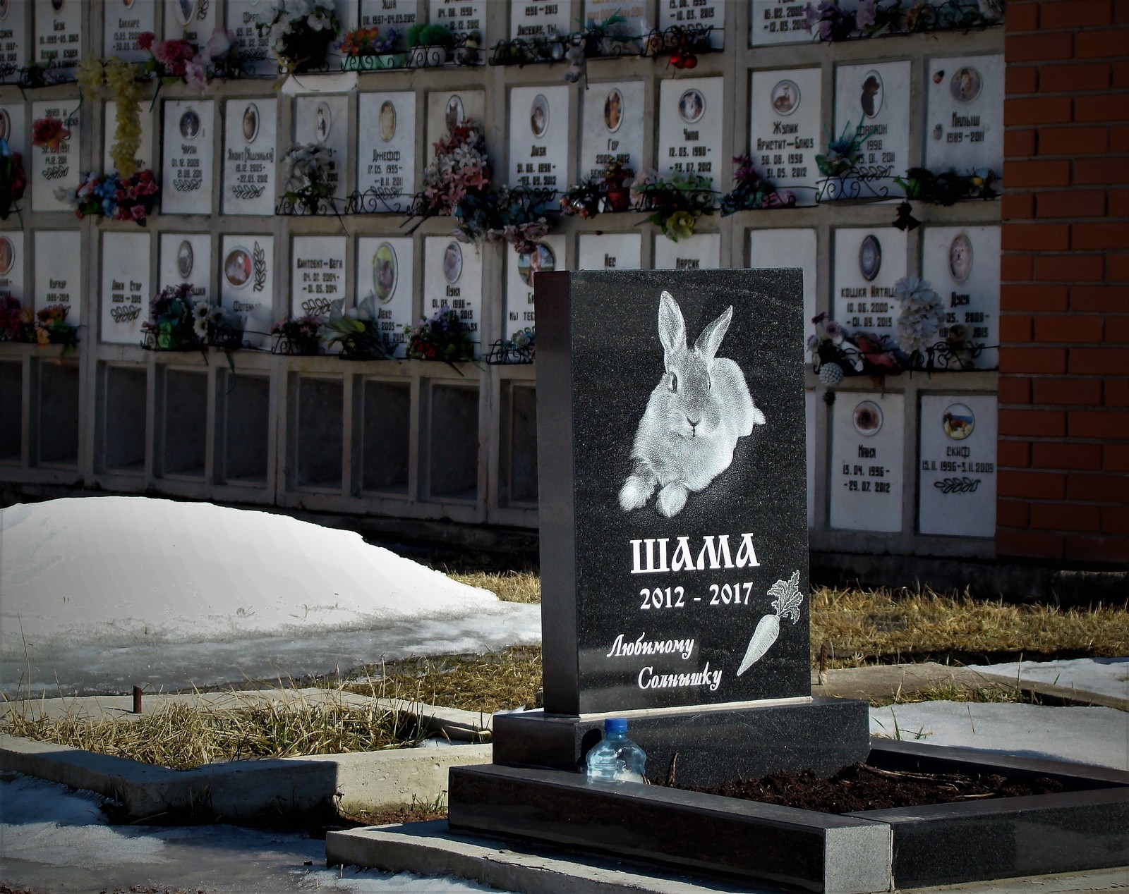 Pet cemetery - My, Cemetery, Pets, Saint Petersburg, Cats and dogs together, Longpost, The photo, Monument