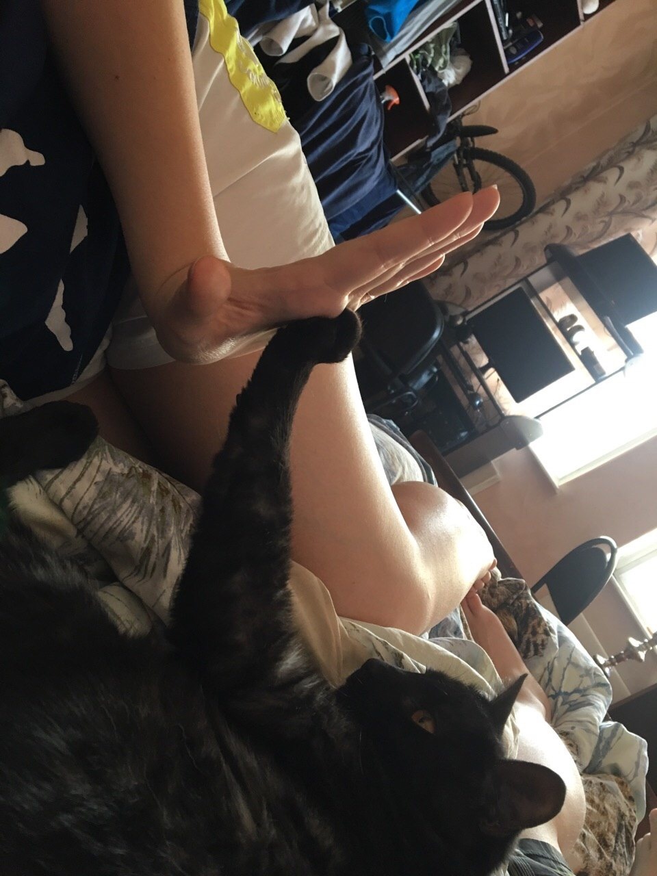 High five - My, cat, High five, Morning