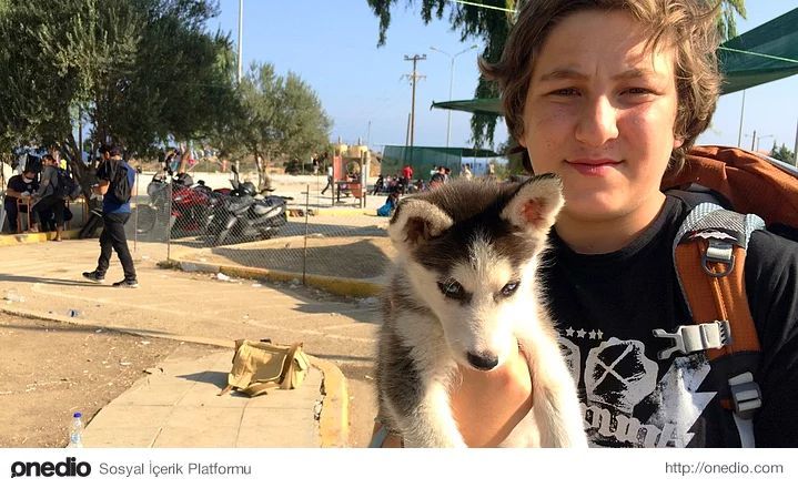 The photo of a Syrian teenager who traveled 500 km to Greece did not leave his beloved husky puppy quickly spread around the world. - Husky, People, Dog, Friend, Person, Longpost