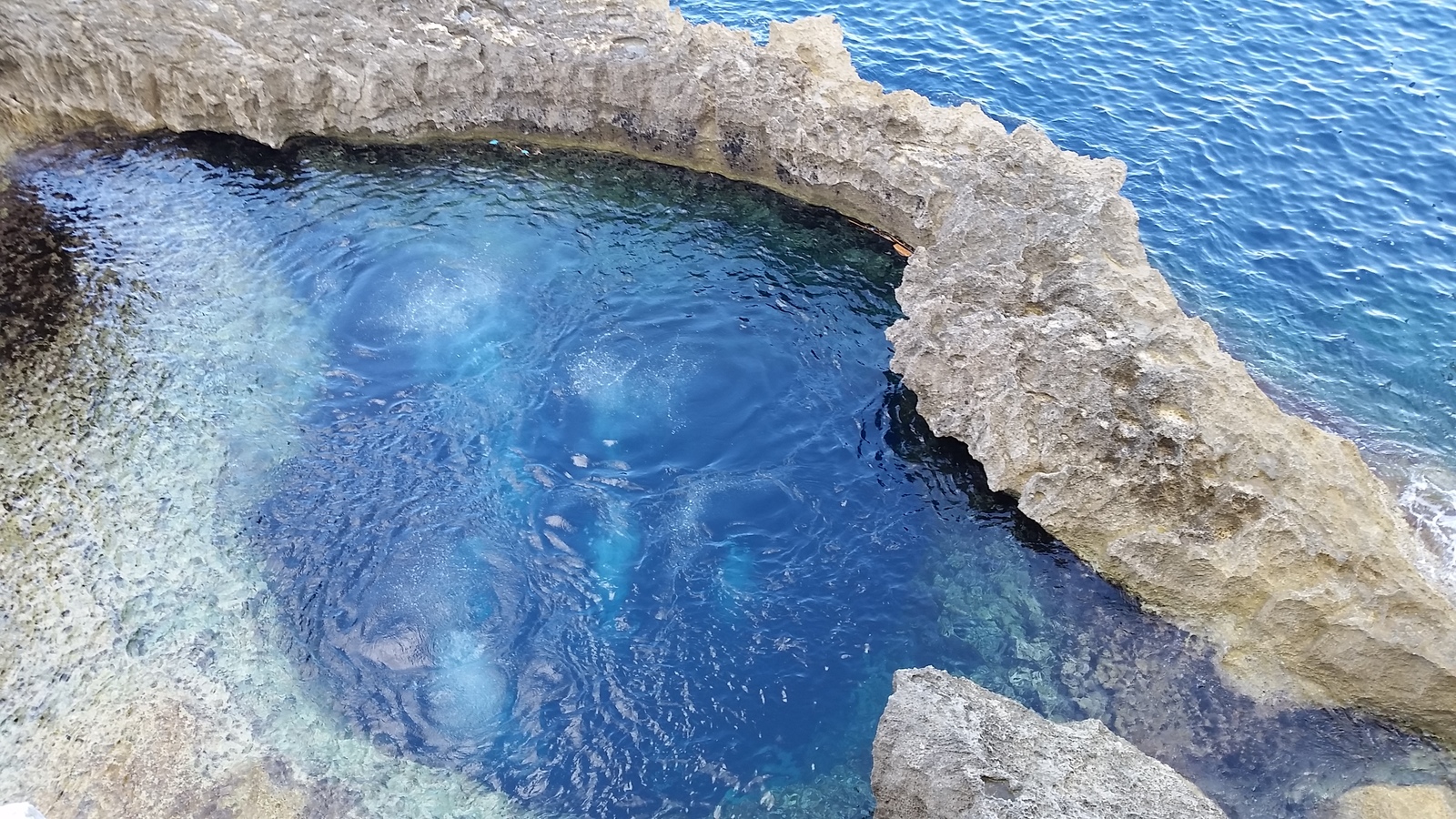 Notes of a girl diver. Malta Blue Hole - My, Diving, Underwater world, , Malta, , Longpost