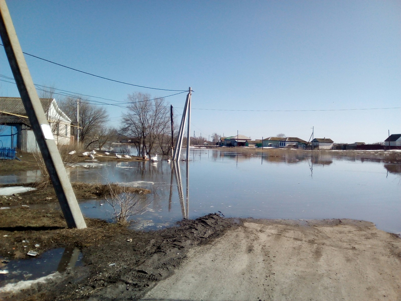 In the flood zone - Flood, Volgograd region, Drowning, Longpost