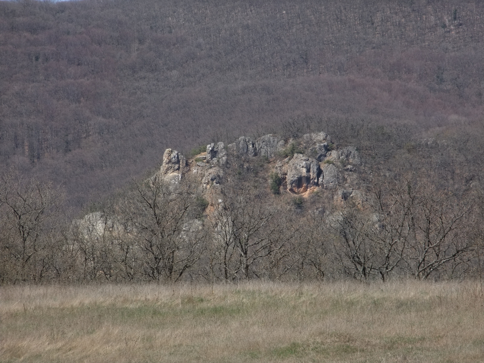 Look, boar pass - My, Crimea, , , Longpost, The photo