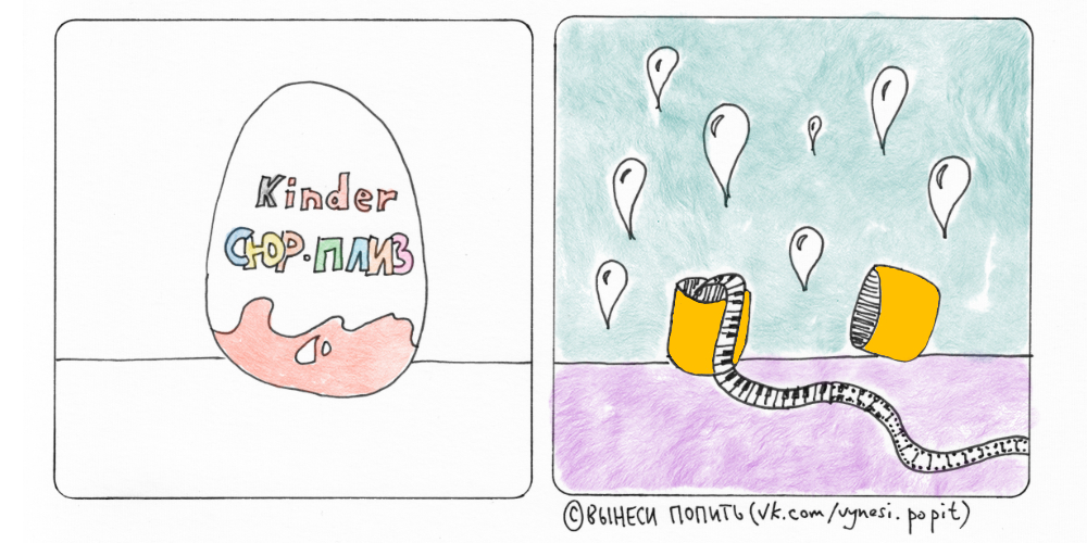 kinder surprise - My, Take out a drink, Comics, Bring out a drink