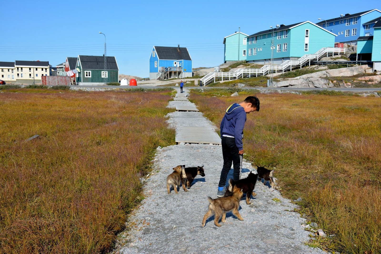 Independent trip to Greenland. Ilulissat. Seal hunting and hiking to the Ice Fjord - My, Tourism, Greenland, Ilulissat, The photo, Travels, Iceberg, Whale, Fishing, Longpost