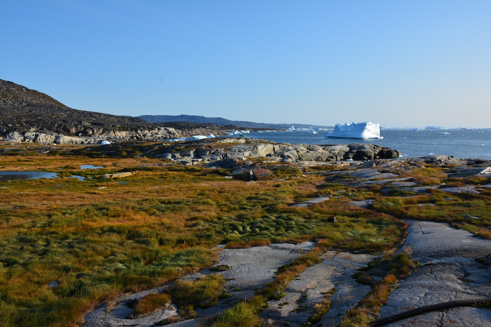 Independent trip to Greenland. Ilulissat. Seal hunting and hiking to the Ice Fjord - My, Tourism, Greenland, Ilulissat, The photo, Travels, Iceberg, Whale, Fishing, Longpost