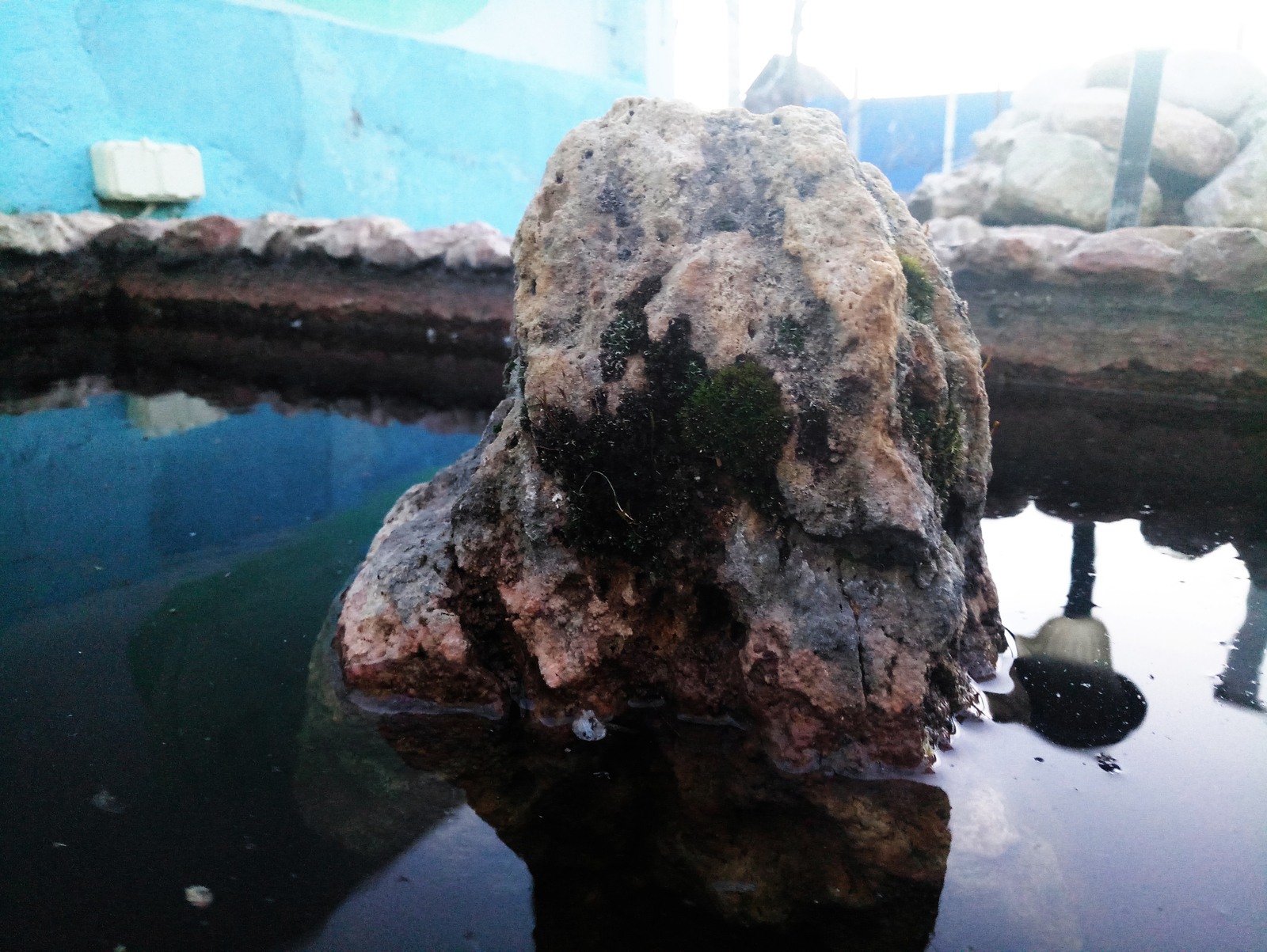 Pebble - My, Beginning photographer, I want criticism, The photo, A rock, Pond