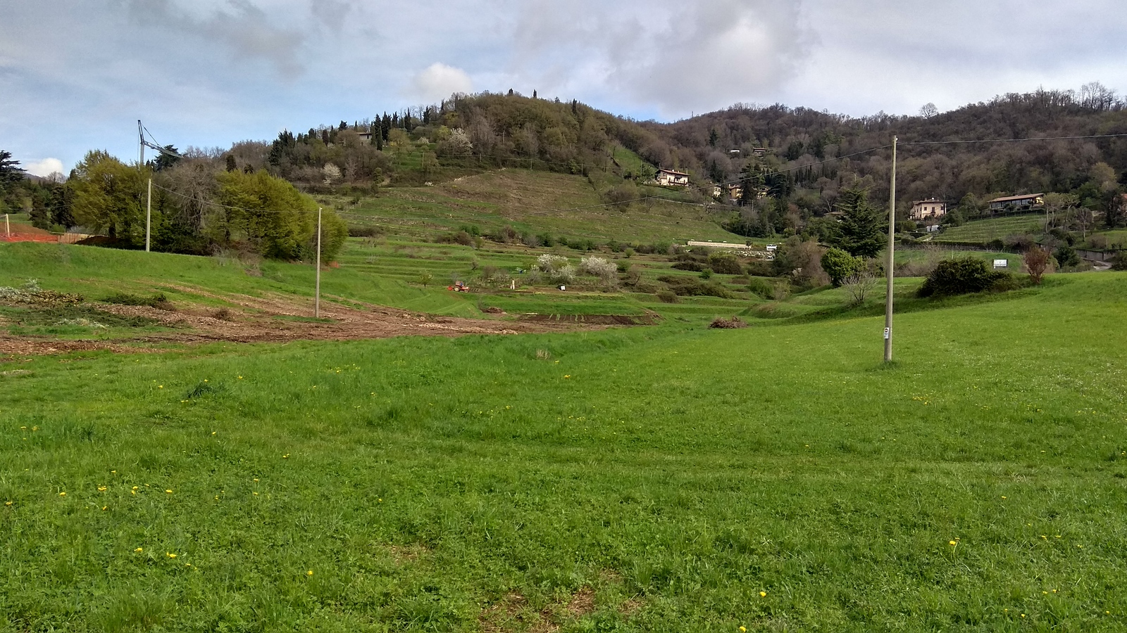 Fields in Italy and some flowers again - Field, Flowers, Flower, Italy, Longpost