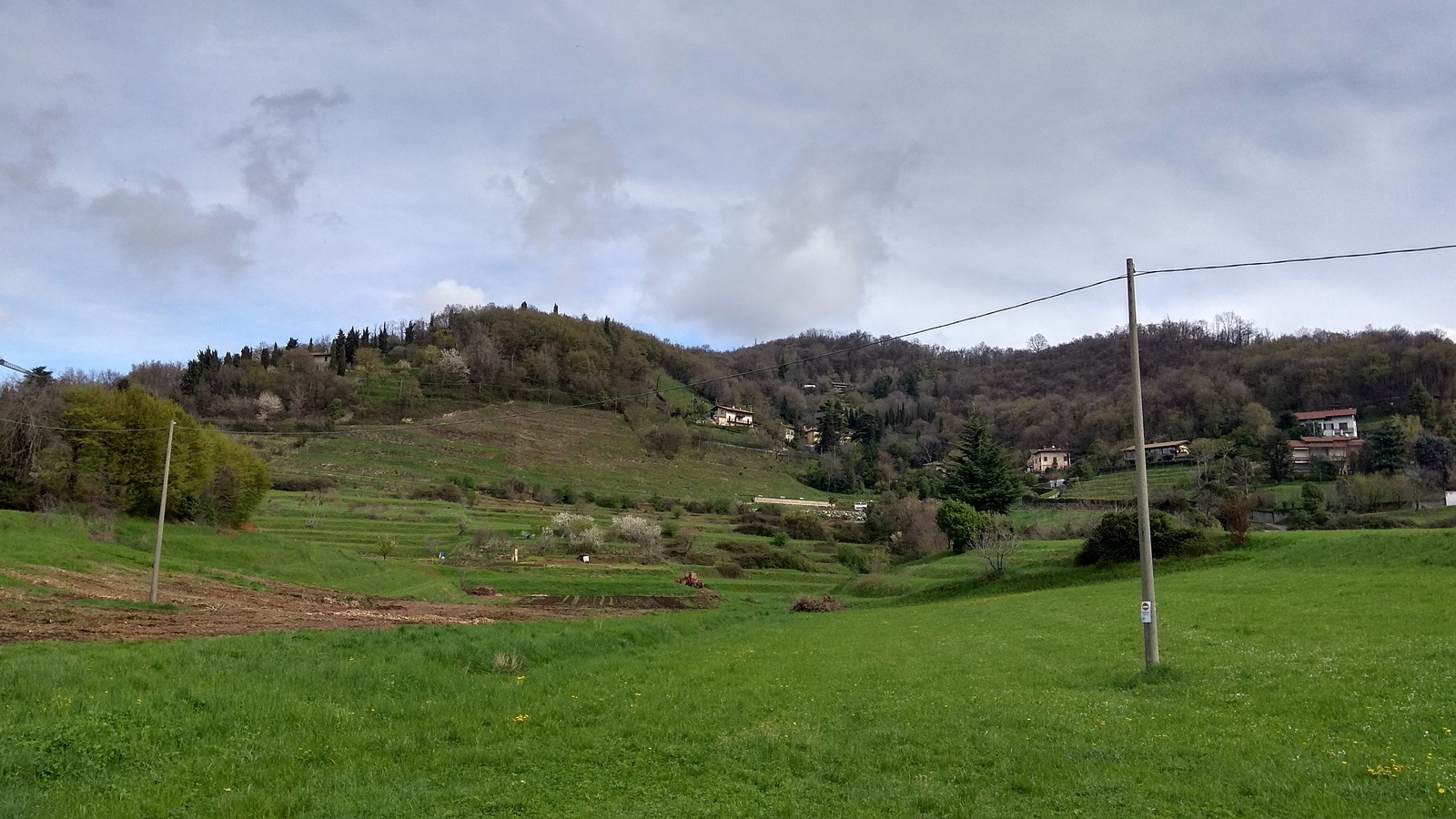 Fields in Italy and some flowers again - Field, Flowers, Flower, Italy, Longpost