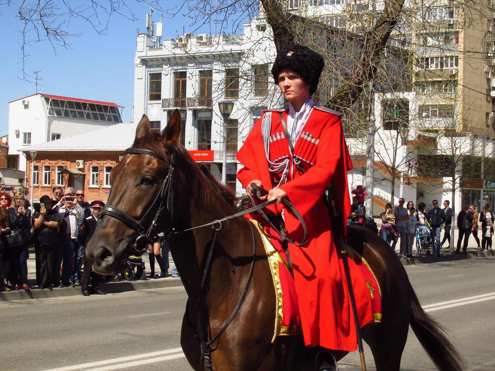 Reds in the city or Cossack pride parade - My, Show, Cossacks, Krasnodar, The photo, Longpost