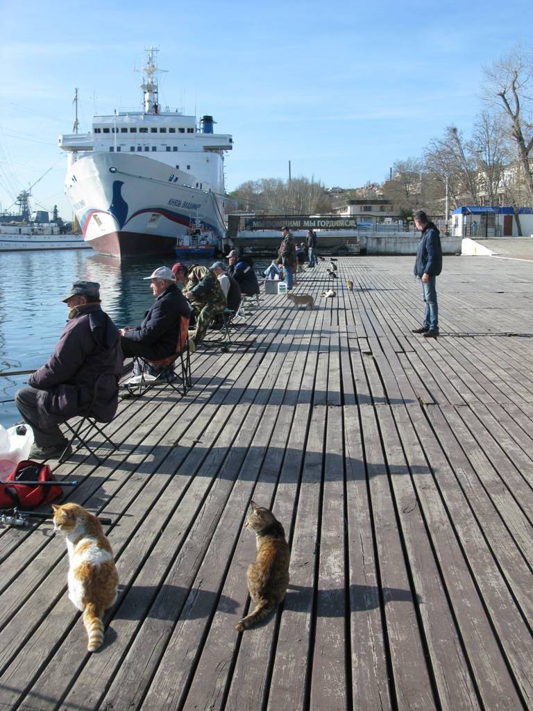 Ловись, рыбка, большая и маленькая... - Кот, Рыбалка, Севастополь, Длиннопост