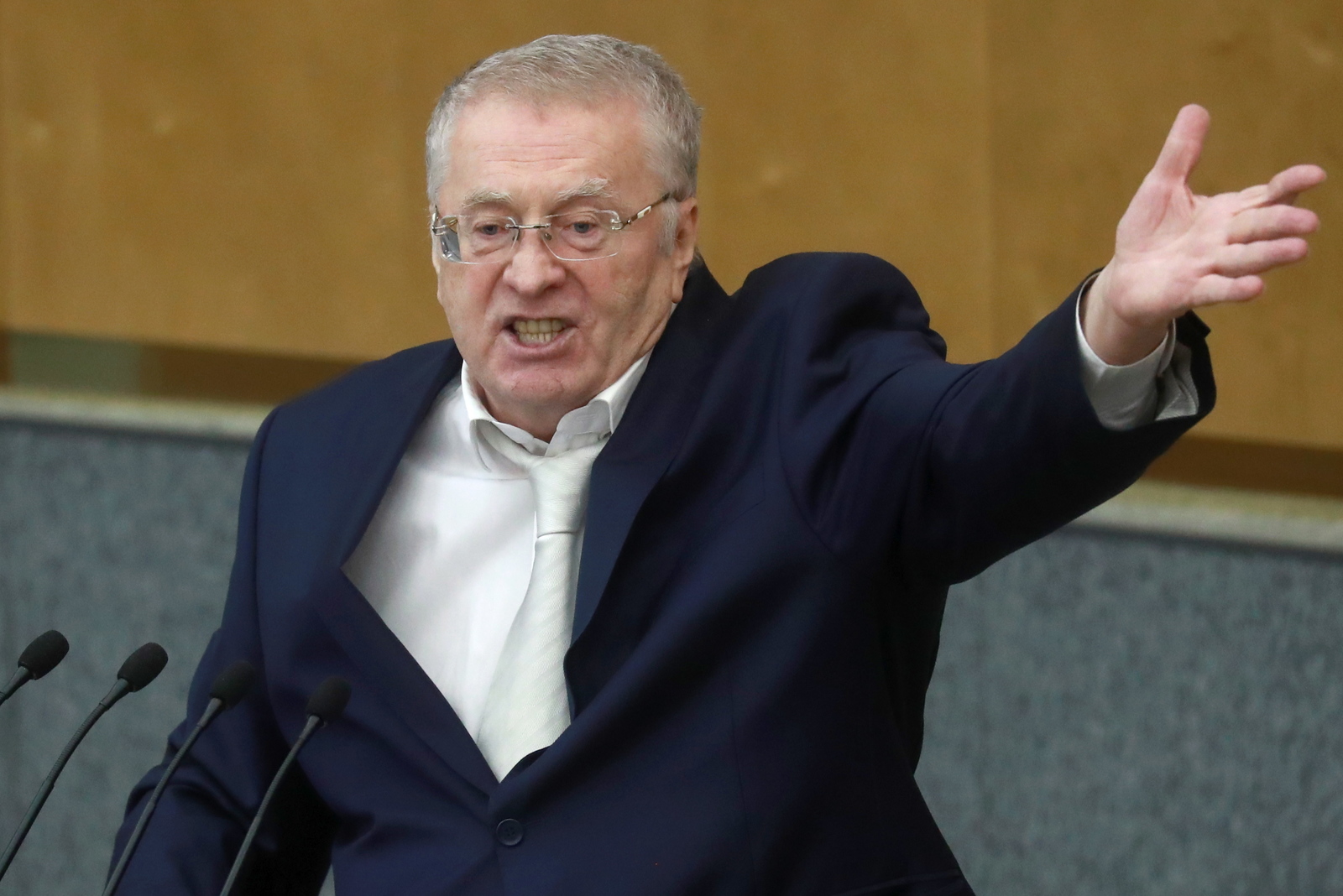 Zhirinovsky proposed to take out the garbage in the tundra, where no one lives - Garbage, Vladimir Zhirinovsky, Politics