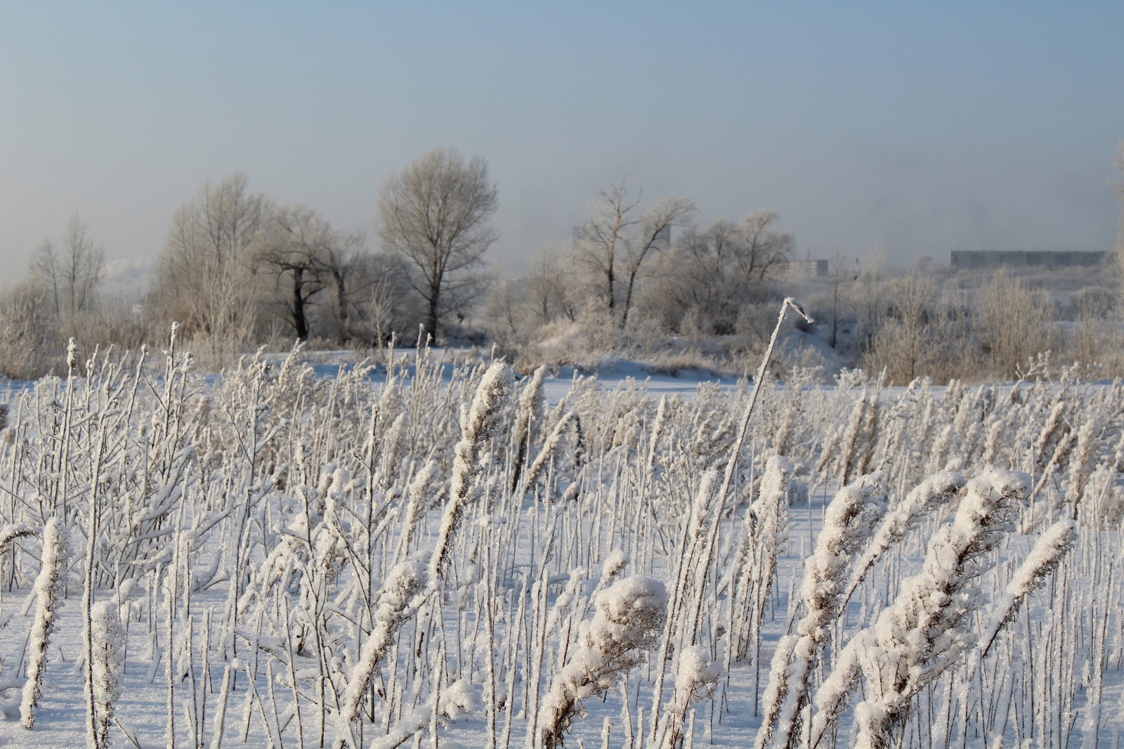 Memories of winter - My, My, Winter, Snowflake, Beginning photographer, Canon 1200d