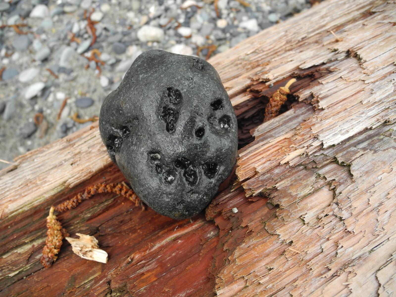 Stone from the beach. - My, A rock, Find, It