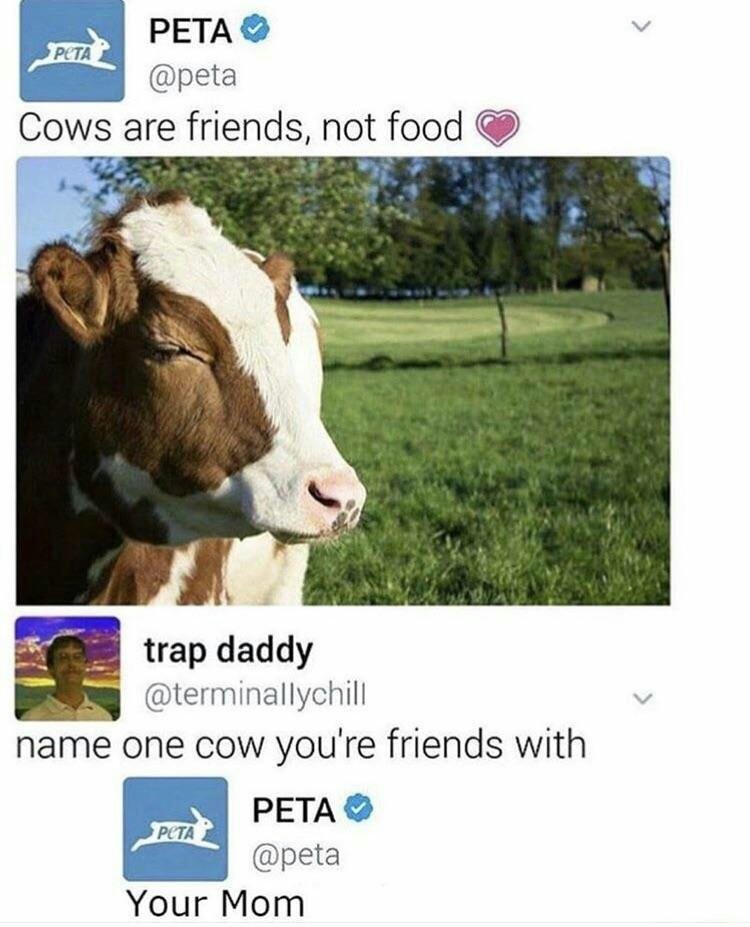 Cows are our friends - Cow, Friend, Reddit