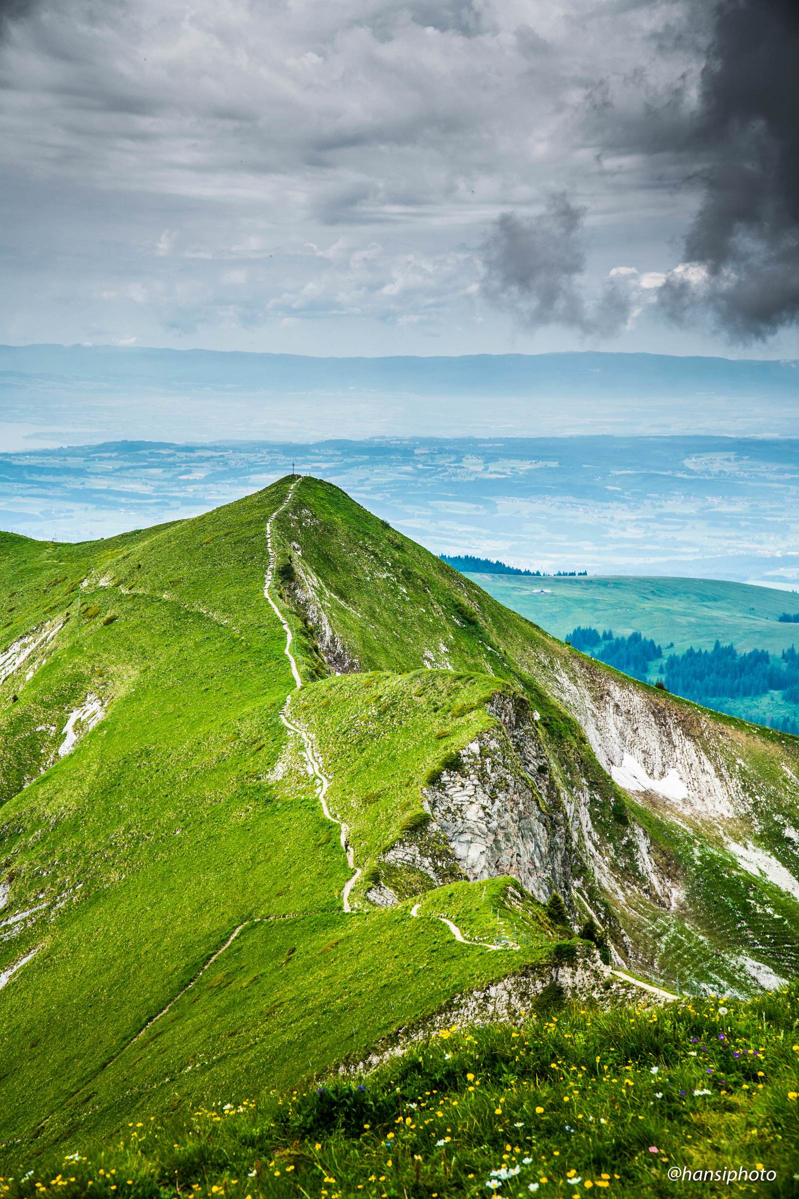 Швейцария - Reddit, Фотография, Красота, Горы, Трава, Цветы, Небо, Дерево