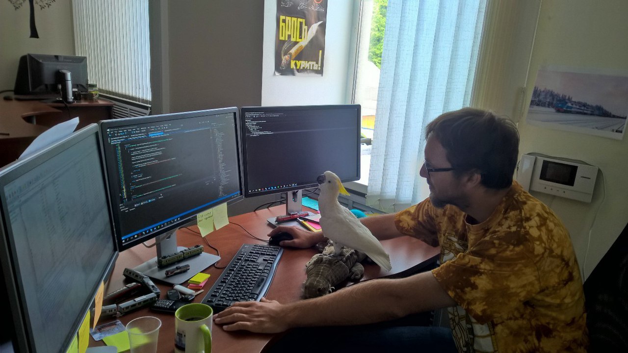 Pair programming - My, A parrot, Programming, Work