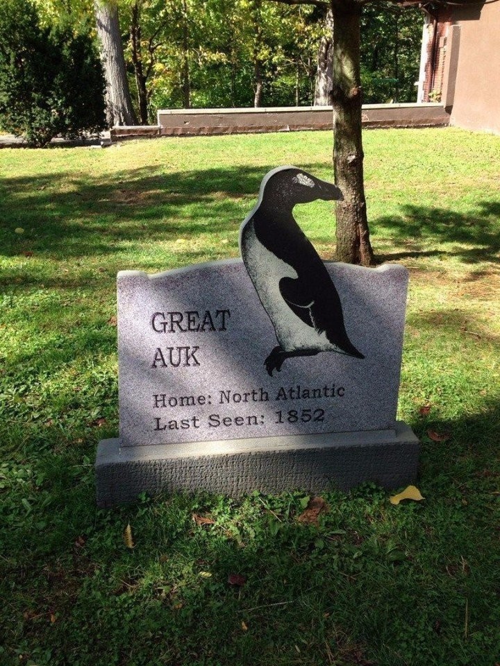 Eternal mute reminder to reasonable man. Carved in stone. Bronx Zoo, New York (USA). - From the network, In contact with, Nature, Extinct species, Longpost