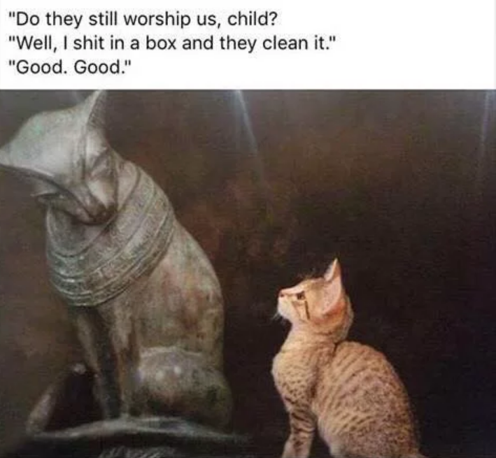 Obey me, I demand! - Translation, Statuette, Sacred animal, Reddit, Egypt, Picture with text, Images, cat