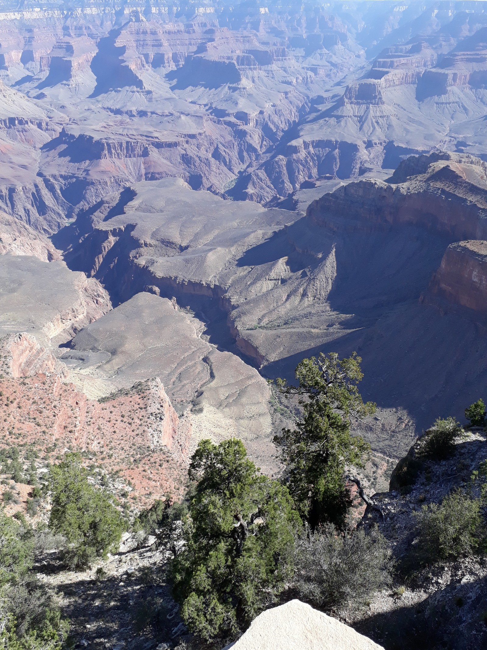 Squirrel and Grand Canyon - My, Travels, USA, Squirrel, Chipmunk, Nature, beauty, , Longpost