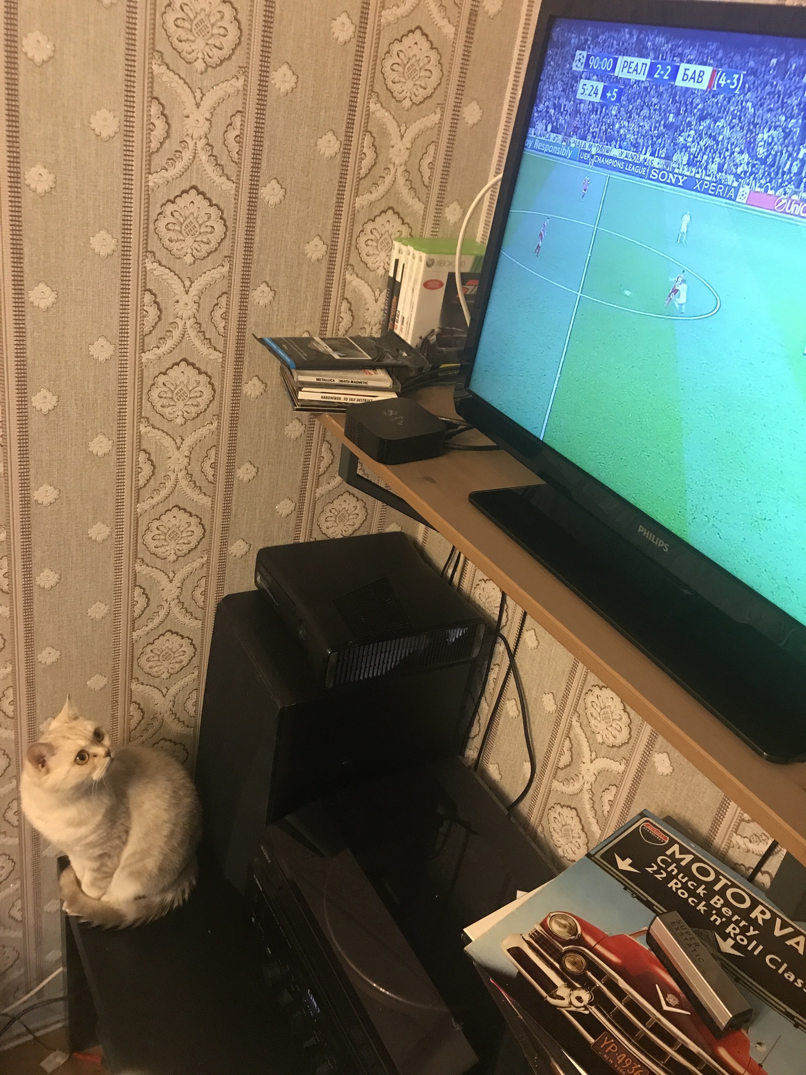 When the match keeps in suspense until the last minute - My, Football, cat, Champions League