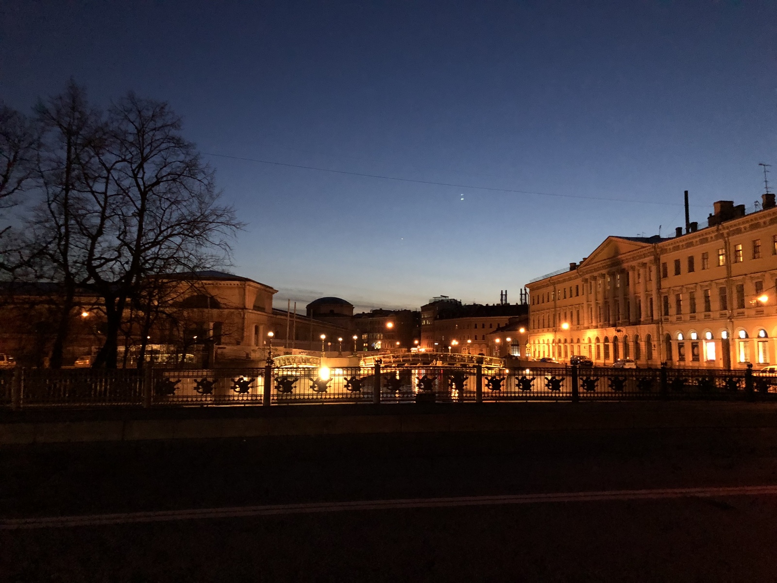 northern capital - My, Saint Petersburg, Night, cat, Longpost