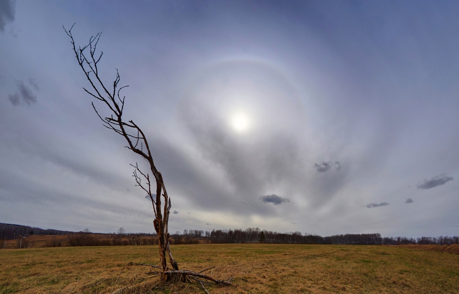 Leisure Spring - My, Siberia, HDR, Spring, Nature, May, Halo, Longpost