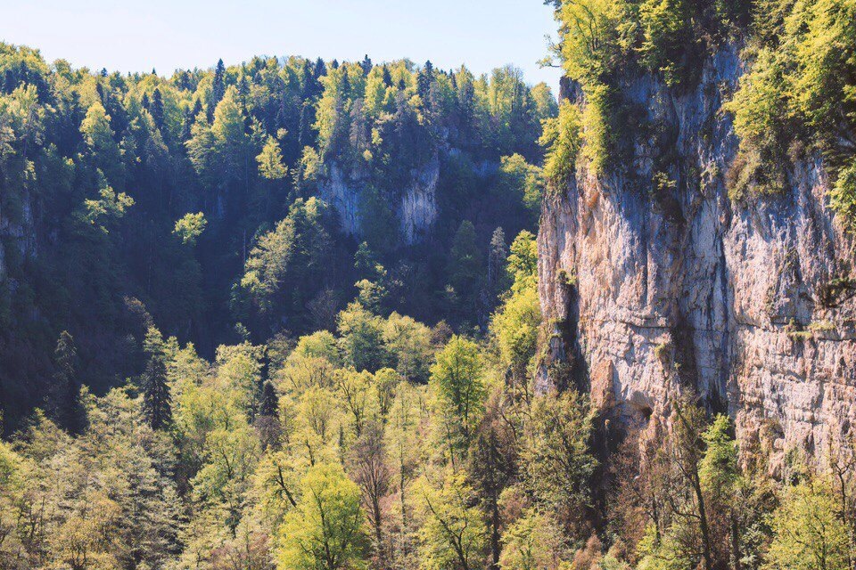 Blooming Mezmai, Adygea - My, The mountains, The photo, Republic of Adygea, Mezmay, Russia, Spring, Waterfall, Longpost