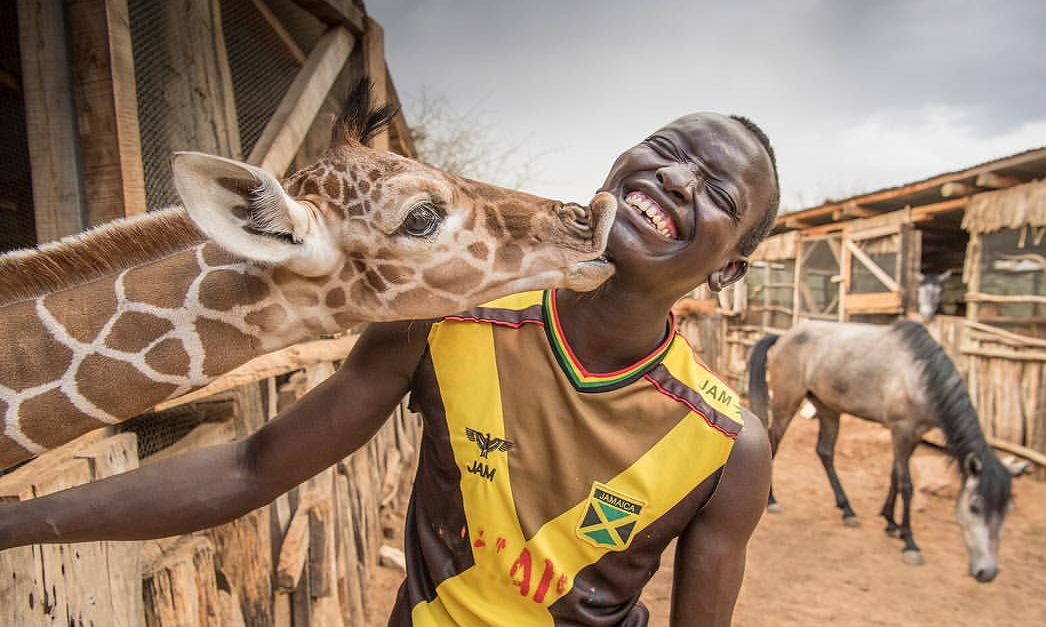 African tenderness - Giraffe, Elephants, Animals, Africa