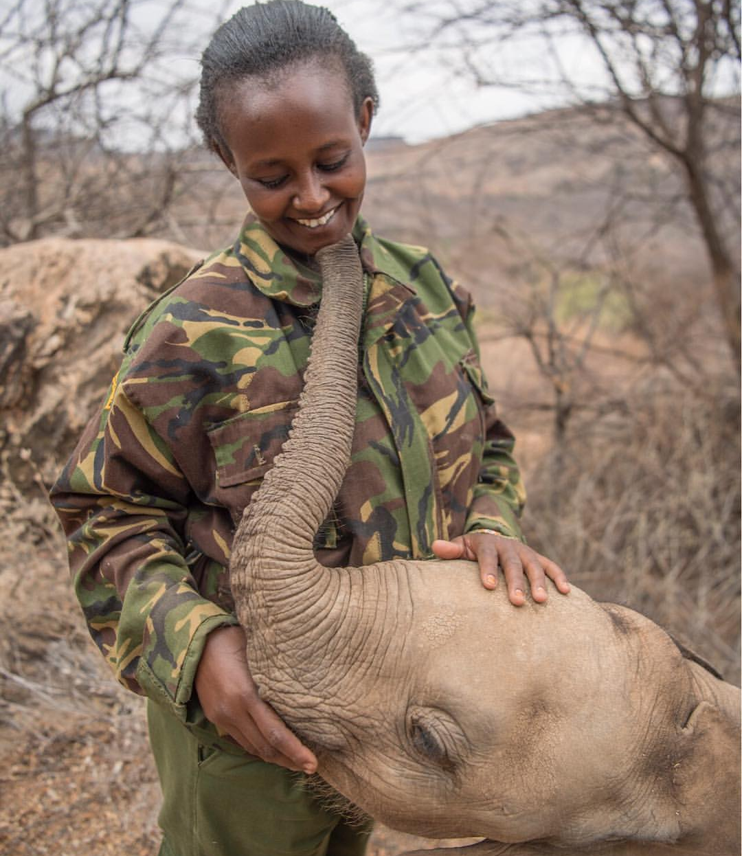 African tenderness - Giraffe, Elephants, Animals, Africa