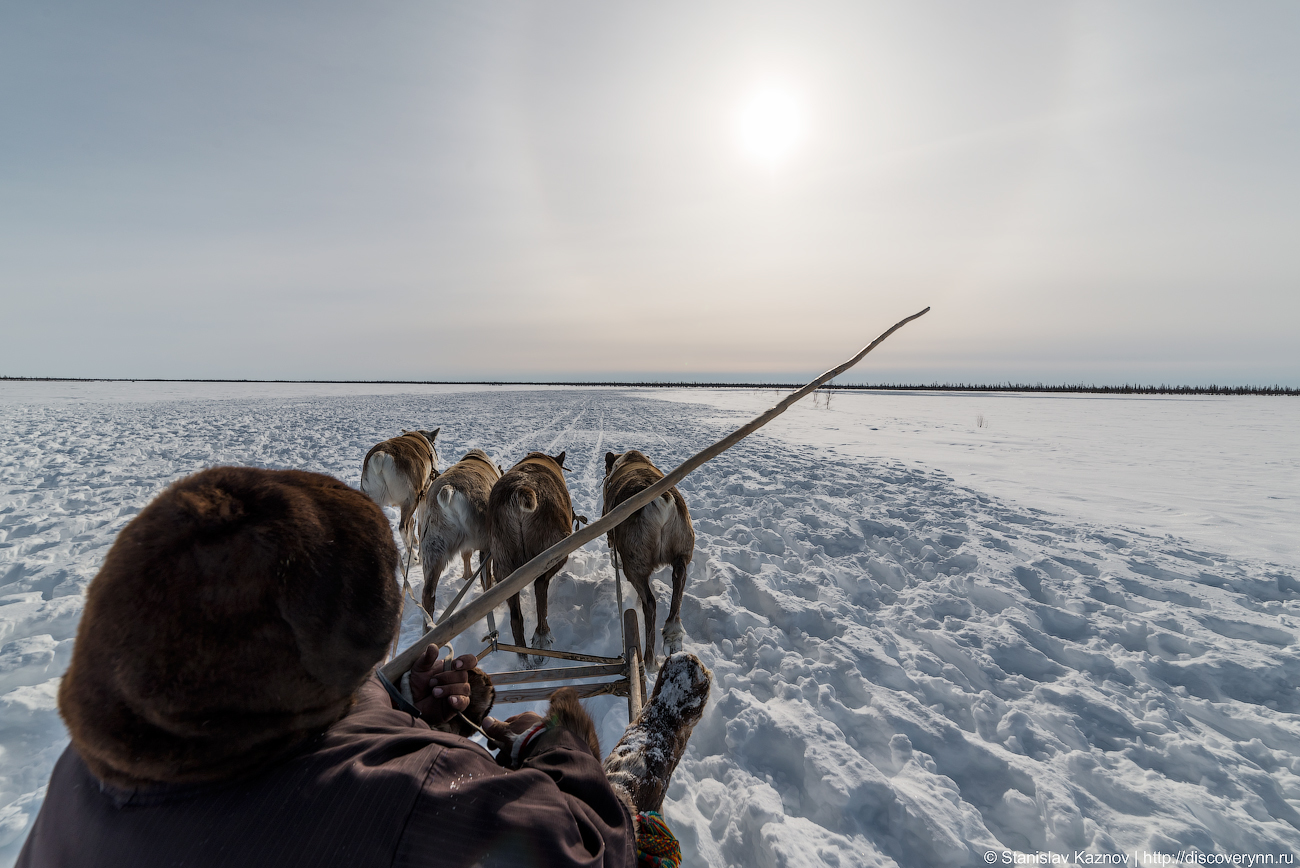 Yamal, beautiful and unforgettable... We will definitely be back! - My, Yamal, Salekhard, Photo tour, Travel across Russia, Longpost