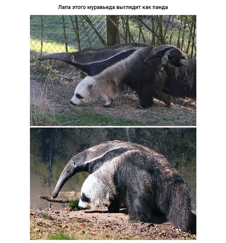 Фотографии на которые смотришь дважды - НЛО, Чудеса случаются, Невероятно, Фотография, Удивительное, Длиннопост, Баян, Чудо, Повтор