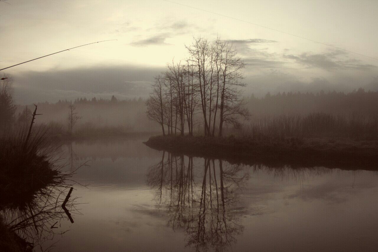 Atmospheric turned out - My, Fishing, Fog, Calmness