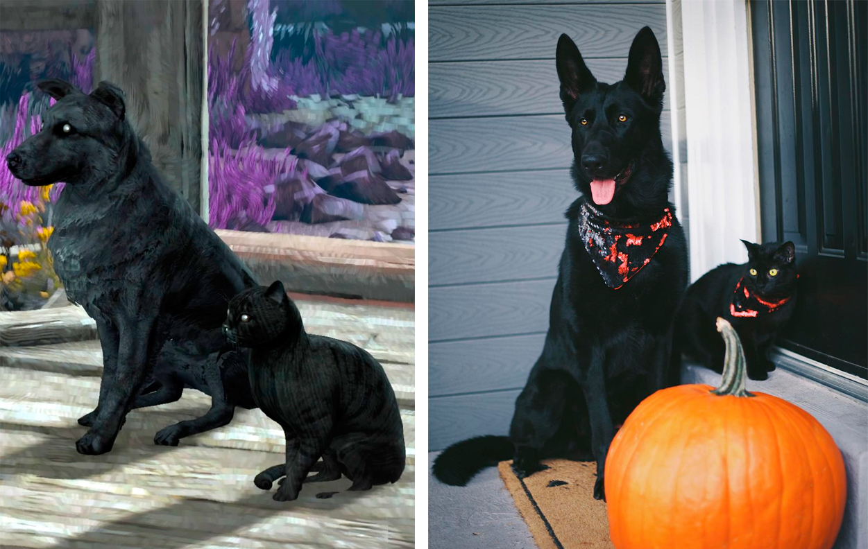 Black cat and black dog from The Witcher - Witcher, The Witcher 3: Wild Hunt, Black cat, , Longpost, Dog, cat